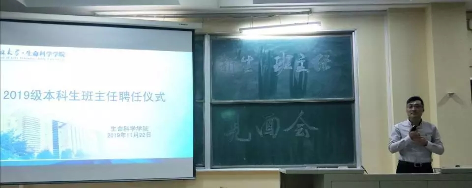 香蕉视频