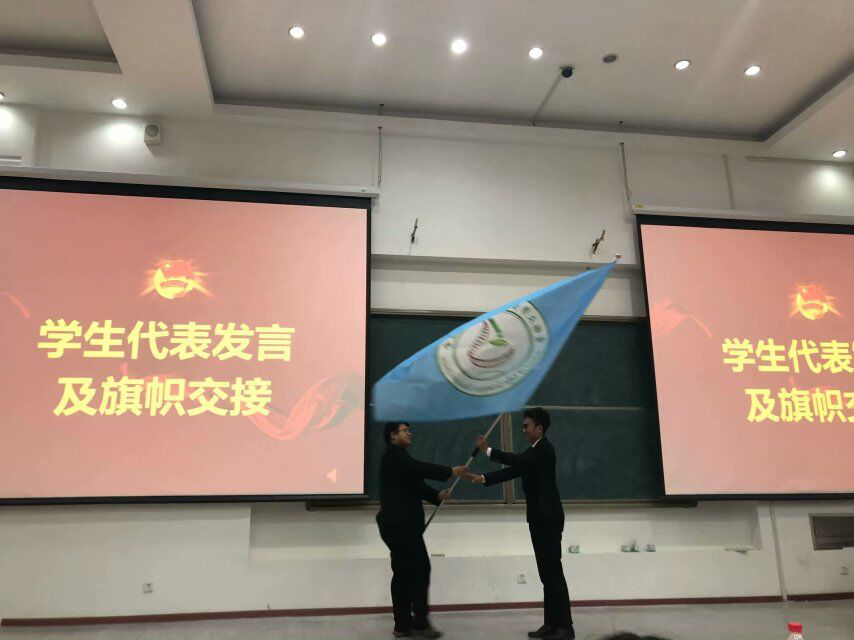 香蕉视频