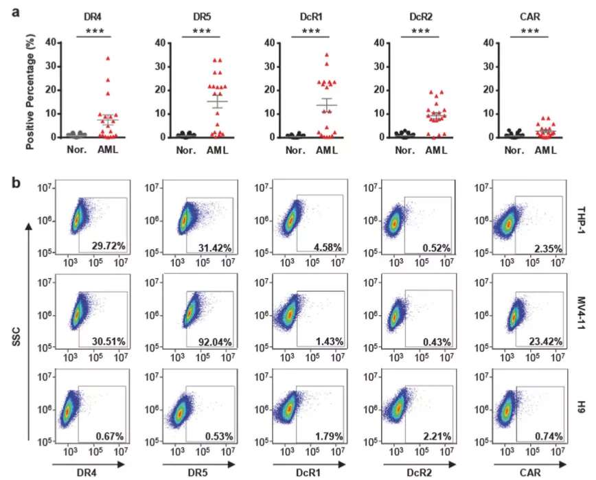 27230207151216.jpg 2.jpg