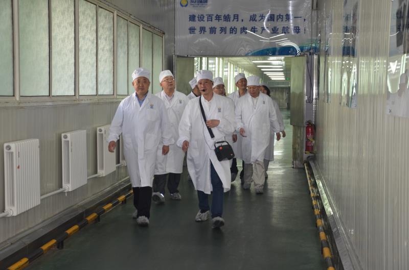 香蕉视频