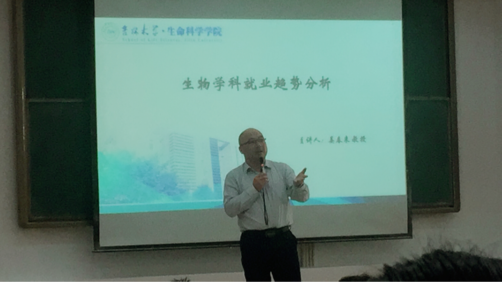 香蕉视频
