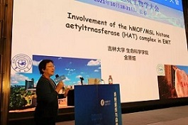 香蕉视频