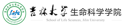 香蕉视频