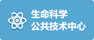 香蕉视频